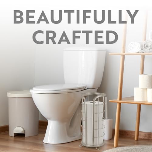 HOLD MEGA ROLLS Nickel Toilet Paper Holder